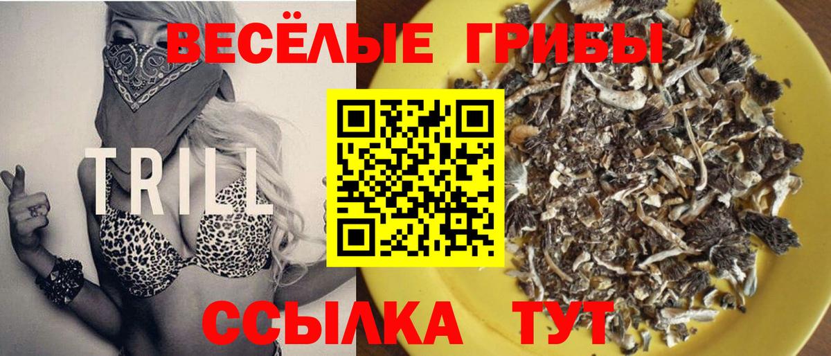 Псилоцибиновые грибы GOLDEN TEACHER Белово