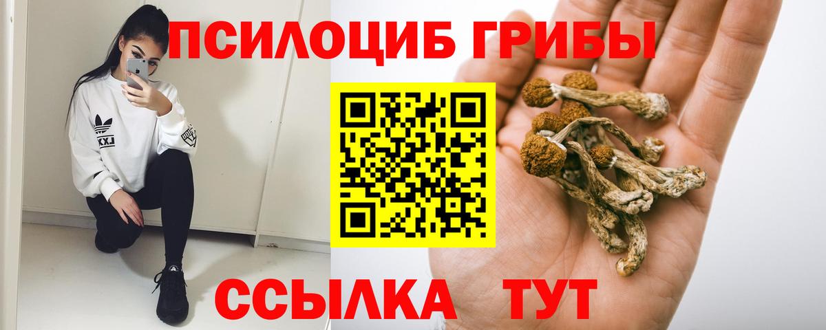 Галлюциногенные грибы ЛСД  Галлюциногенные грибы ЛСД  Белово  Вход с VPN 